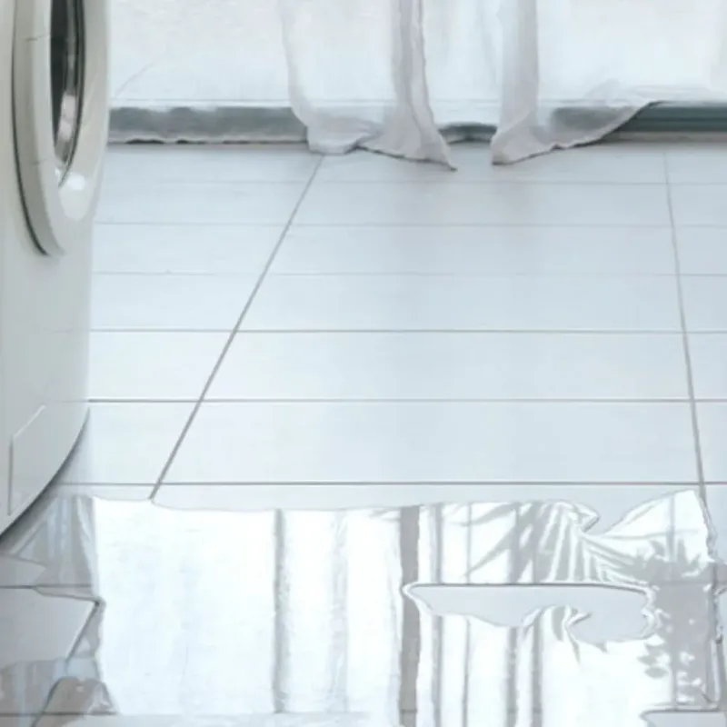 Appliance Leak Cleanup in Saline, MI
