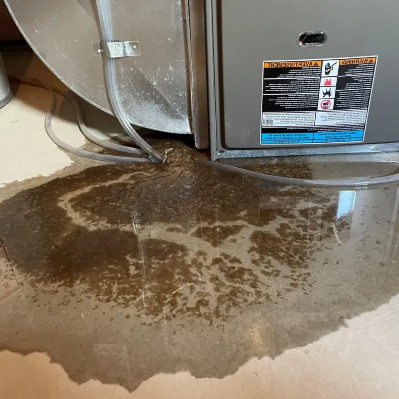 Pipe Burst and Leak Restoration in Saline, MI
