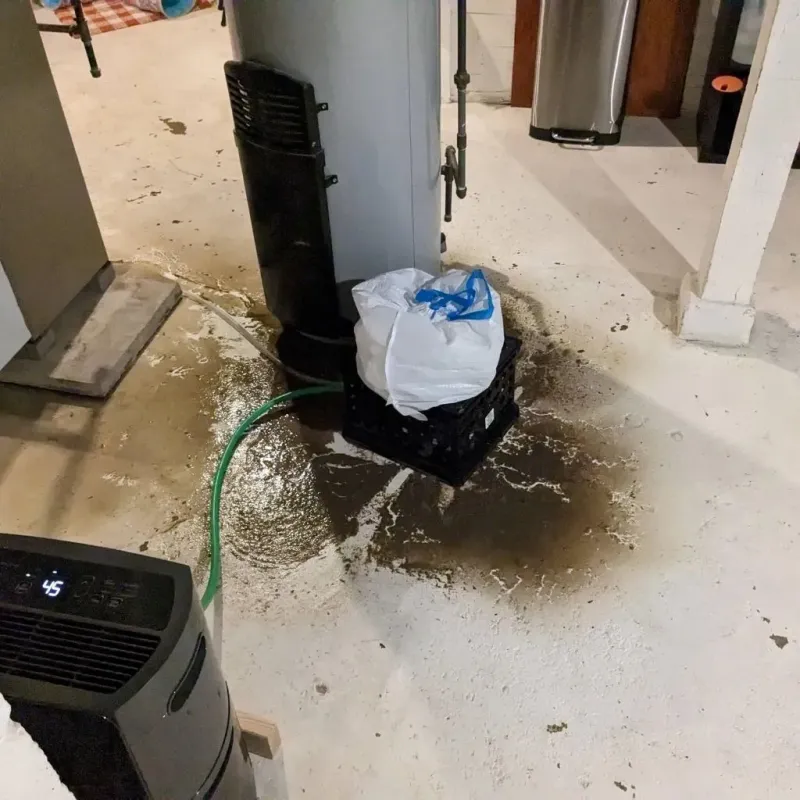 Sewage Backup Cleanup Service in Saline, MI